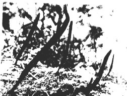 1581498840140966.png image.png